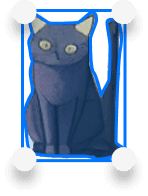 LayerCat